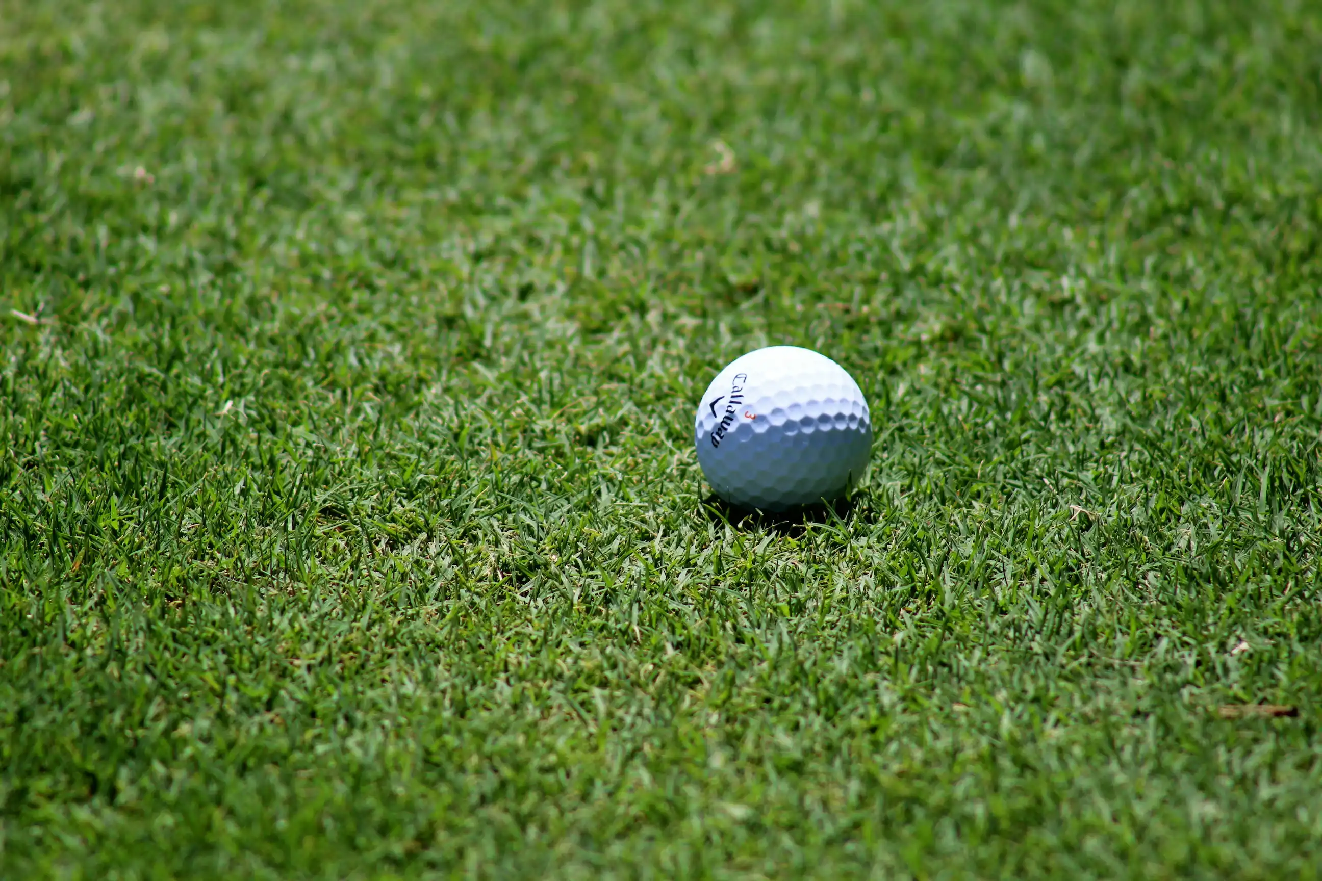 Sports retreats - Golf and cycling